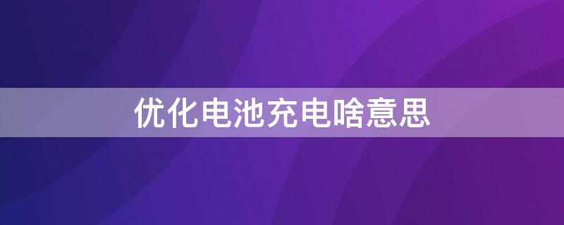 优化电池充电啥意思 什么叫优化电池充电