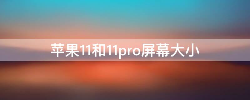 iPhone11和11pro屏幕大小（iphone11和11pro屏幕大小一样吗）