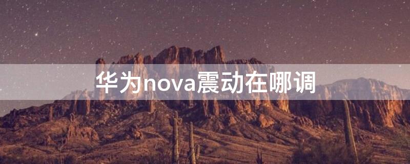 华为nova震动在哪调 华为nova震动怎么不震动