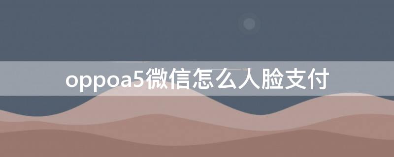 oppoa5微信怎么人脸支付 oppoa5微信可以人脸支付吗