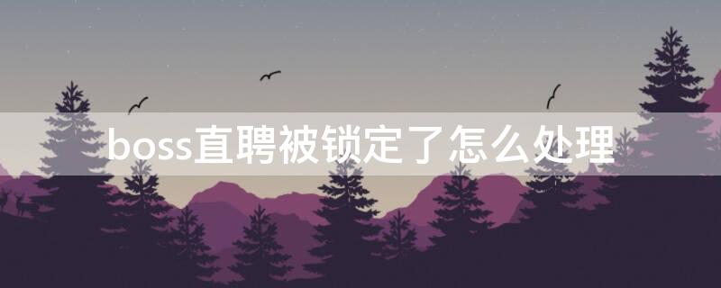 boss直聘被锁定了怎么处理（boss直聘被锁定怎么办）