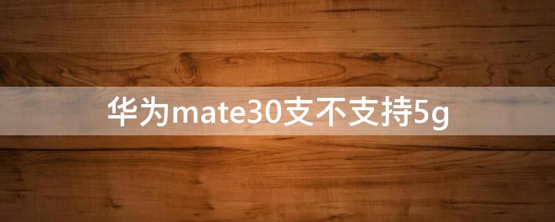 华为mate30支不支持5g（华为mate30支不支持5g网络）