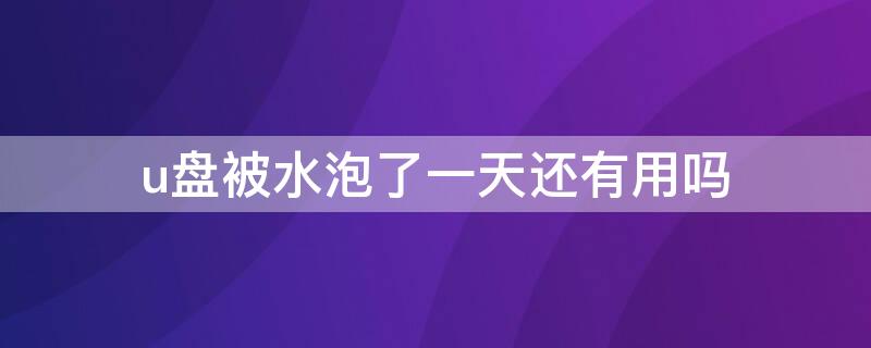 u盘被水泡了一天还有用吗 U盘被水泡了还能用吗