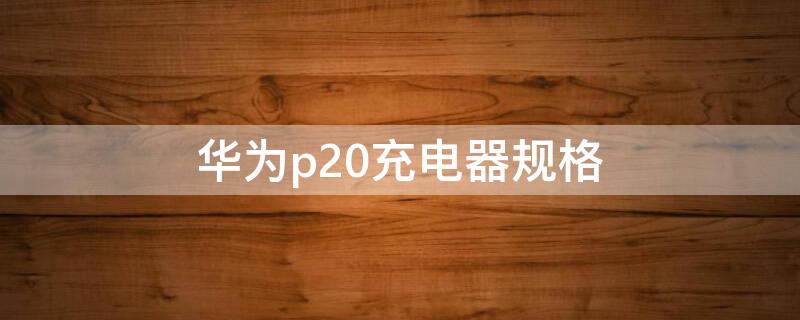 华为p20充电器规格（华为p20充电器规格型号）