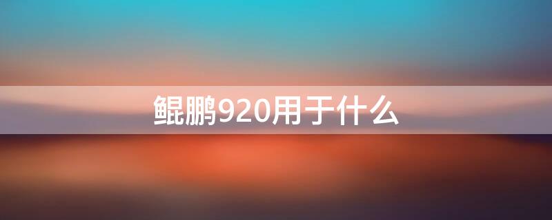 鲲鹏920用于什么（鲲鹏920什么意思）