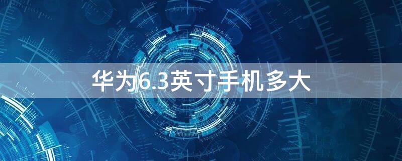 华为6.3英寸手机多大 华为6.53英寸有多大