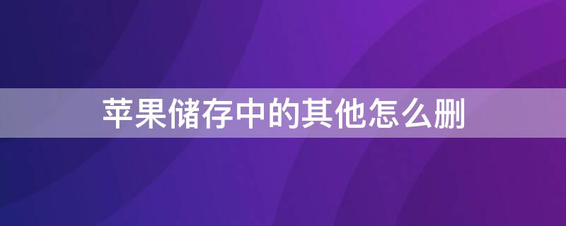 iPhone储存中的其他怎么删（iphone储存中的其他怎么删除）