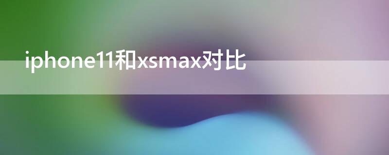 iPhone11和xsmax对比