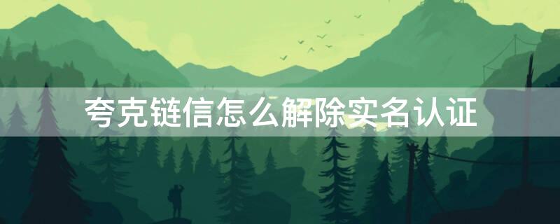 夸克链信怎么解除实名认证 夸克链信怎么提现人民币