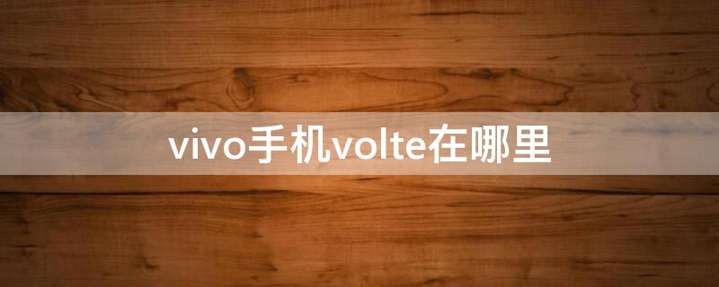 vivo手机volte在哪里（vivo手机的volte在哪里）