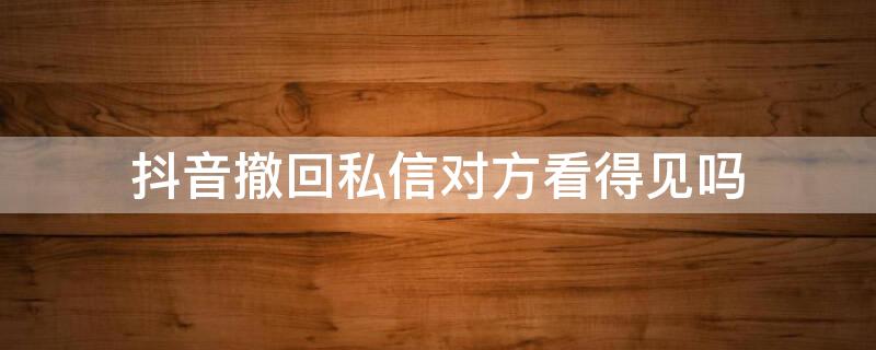 抖音撤回私信对方看得见吗（抖音撤回私信对方看得见吗怎么设置）