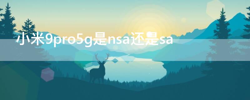 小米9pro5g是nsa还是sa 小米9pro的5g和小米10的一样么