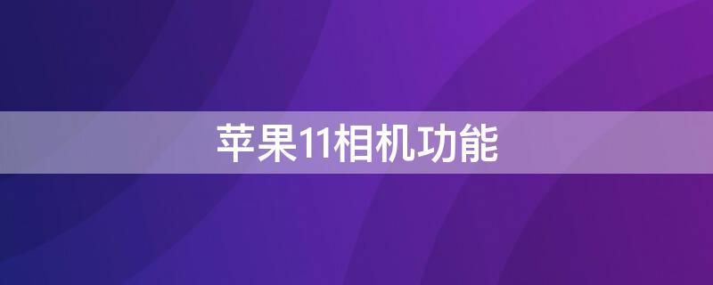 iPhone11相机功能（iphone11相机功能设置）