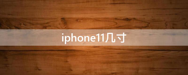 iPhone11几寸（iphone尺寸大全对照表）