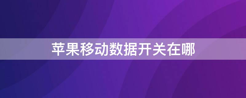 iPhone移动数据开关在哪 苹果手机怎样打开移动数据开关