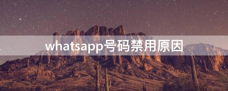 whatsapp号码禁用原因（解决whatsapp号码禁用）