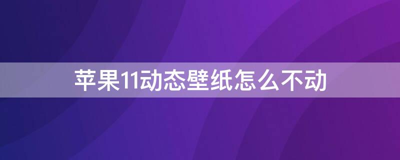 iPhone11动态壁纸怎么不动（苹果11手机动态壁纸怎么不动）