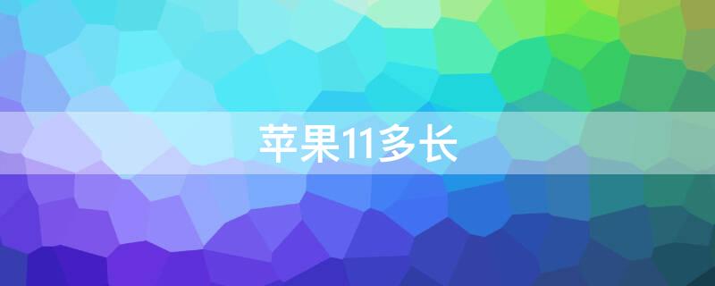 iPhone11多长（iphone11多长多宽）