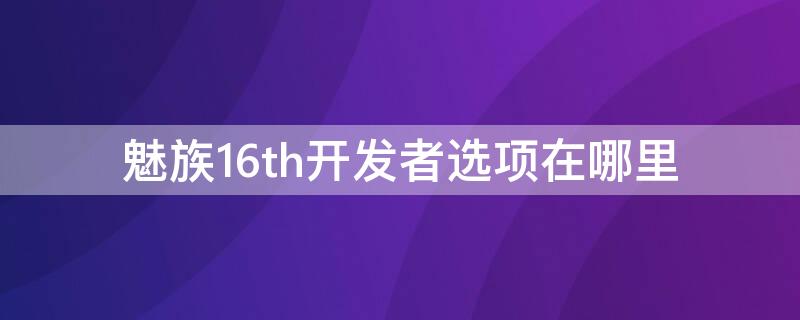 魅族16th开发者选项在哪里 魅族16th开发人员选项