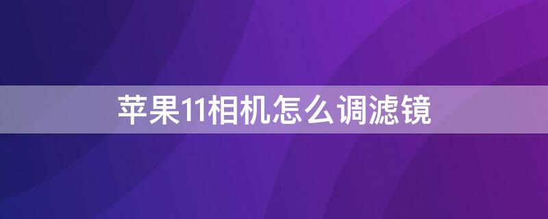 iPhone11相机怎么调滤镜（iphone11自带相机怎么调滤镜）