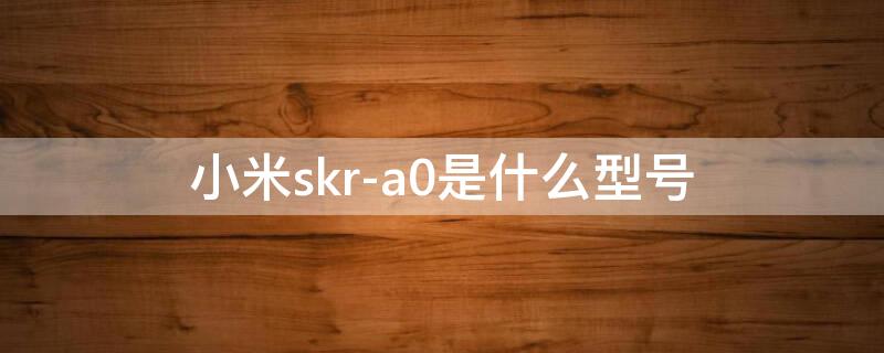 小米skr-a0是什么型号（小米skr一ao是什么型号）