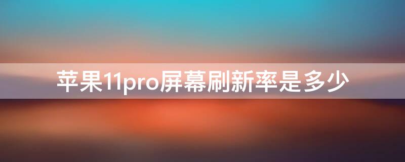 iPhone11pro屏幕刷新率是多少 iphone11pro屏幕刷新率是多少赫兹