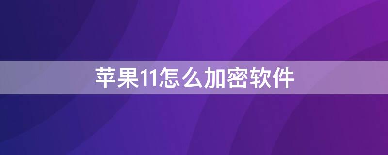 iPhone11怎么加密软件（iPhone11怎么给软件加密）