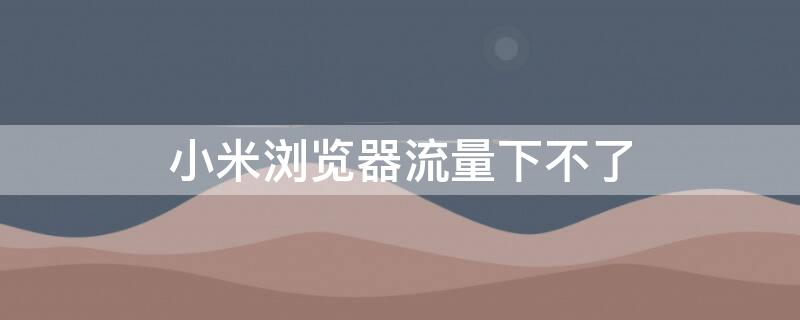 小米浏览器流量下不了（小米浏览器流量下不了视频）