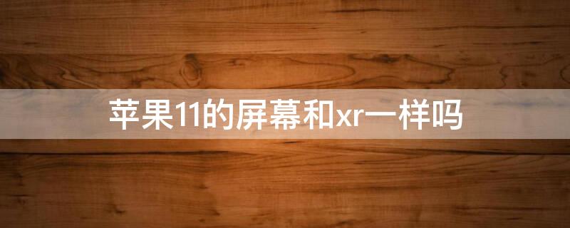 iPhone11的屏幕和xr一样吗 iphone xr和iphone11的屏幕一样吗