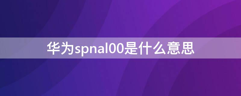 华为spnal00是什么意思（华为spn一al00是华为什么型号）