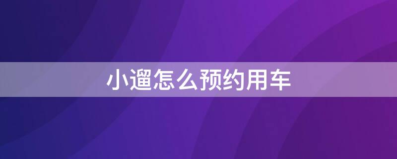 小遛怎么预约用车（小遛怎么预约用车超过10分钟）