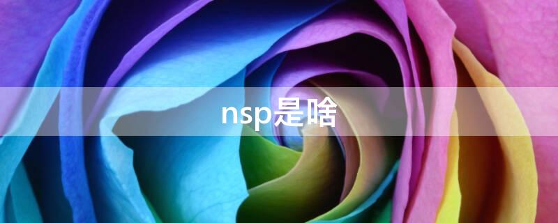 nsp是啥（nsp是啥意思）