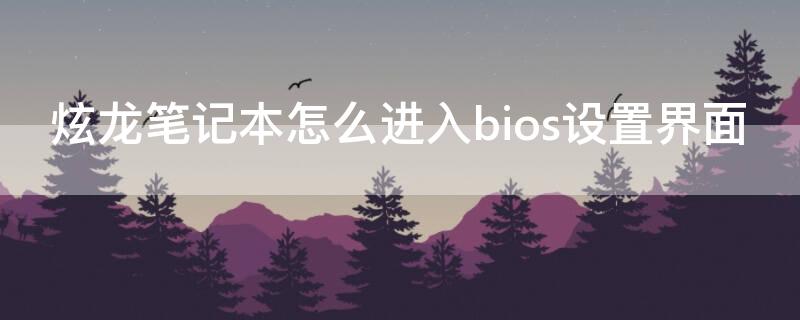 炫龙笔记本怎么进入bios设置界面（炫龙笔记本怎么进入bios设置界面 高级电源设置）