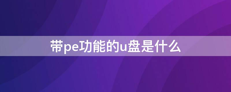 带pe功能的u盘是什么（带pe功能的u盘是什么意思）