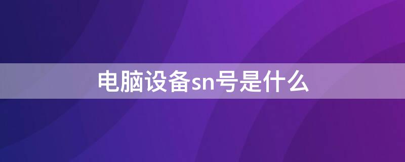 电脑设备sn号是什么（电脑sn号码是什么意思啊）