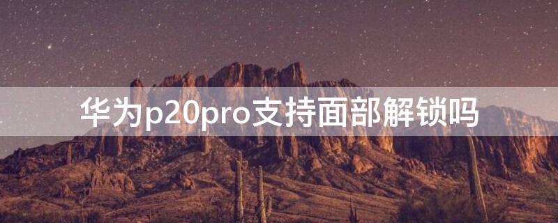 华为p20pro支持面部解锁吗 华为p20pro有面部解锁吗