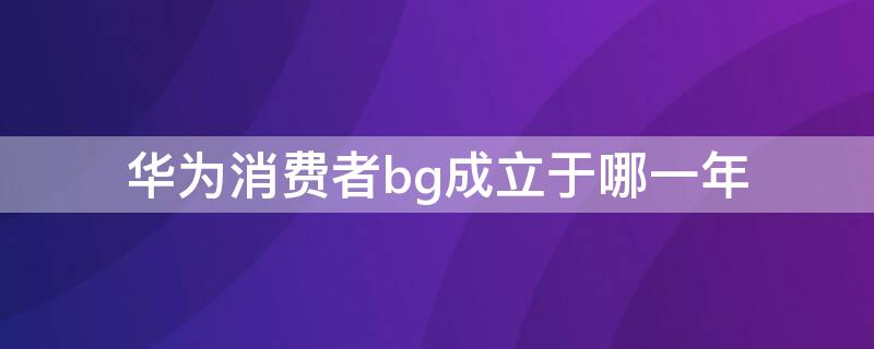 华为消费者bg成立于哪一年（华为消费者bg成立时间）