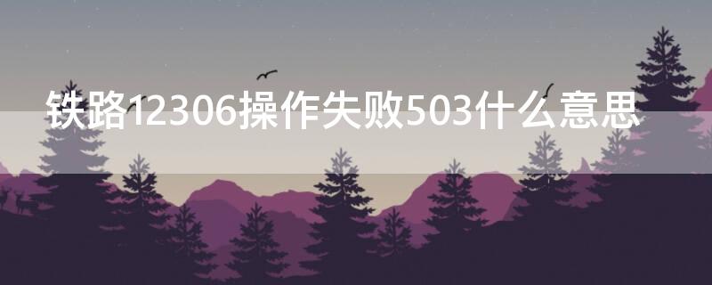 铁路12306操作失败503什么意思 12306 操作失败503