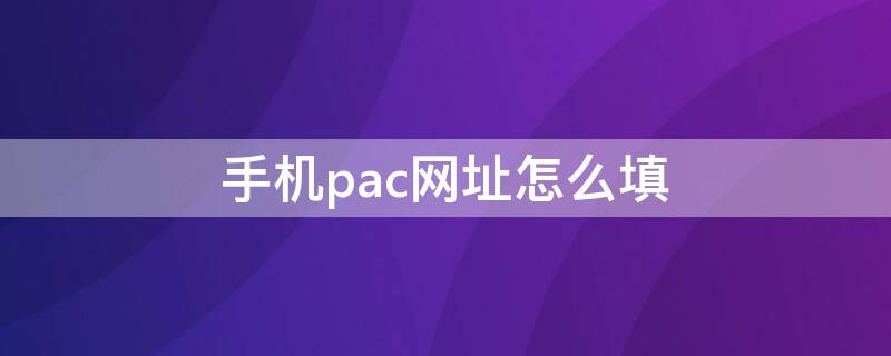 手机pac网址怎么填（手机pac网址填什么最快）