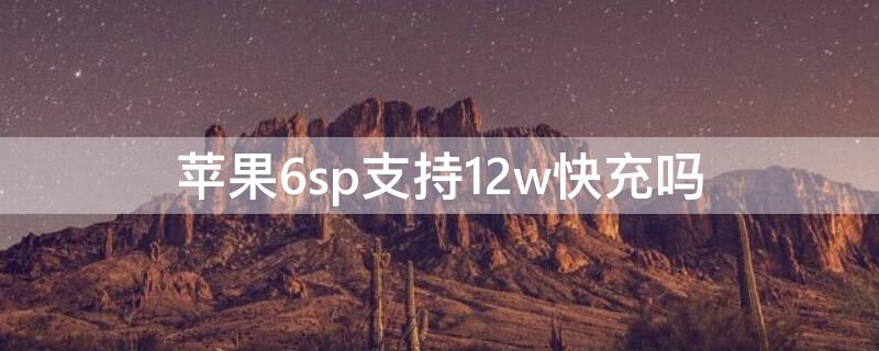 iPhone6sp支持12w快充吗 iphone6sp能用12w充电器吗