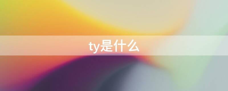 ty是什么