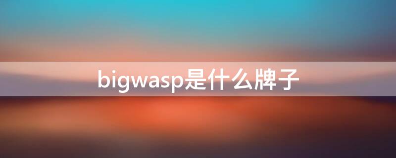 bigwasp是什么牌子 大黄蜂是什么档次的牌子