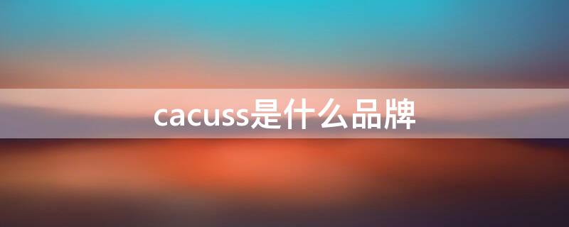 cacuss是什么品牌（cacuss属于什么档次）