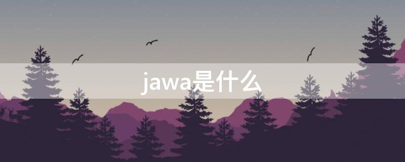 jawa是什么（jawa是什么服装）