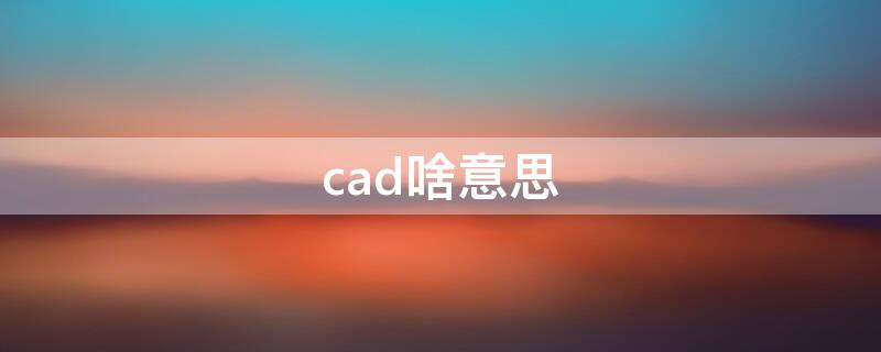 cad啥意思 cad是什么术语