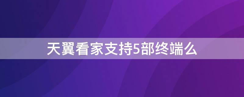 天翼看家支持5部终端么