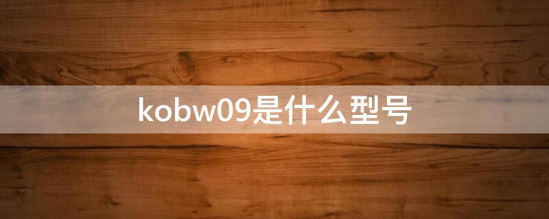 kobw09是什么型号 kob-w09是什么型号