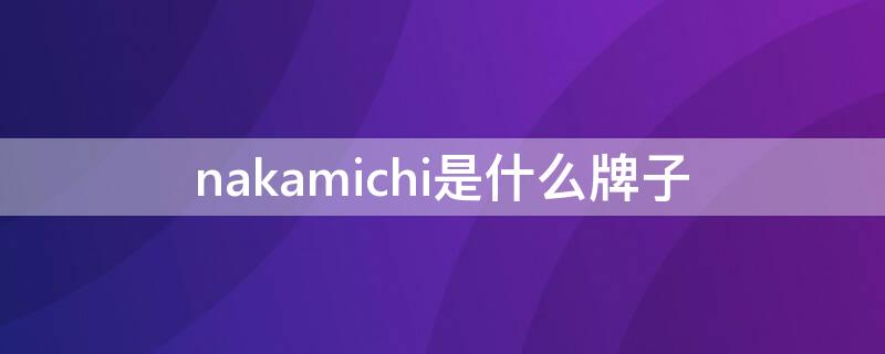 nakamichi是什么牌子（nakamichi是什么牌子音响）