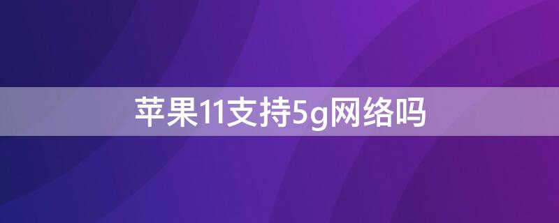 iPhone11支持5g网络吗 iphone13有5g功能吗