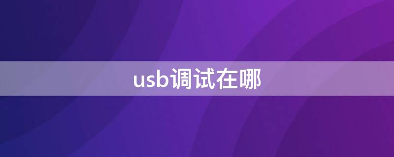 usb调试在哪（usb调试模式）